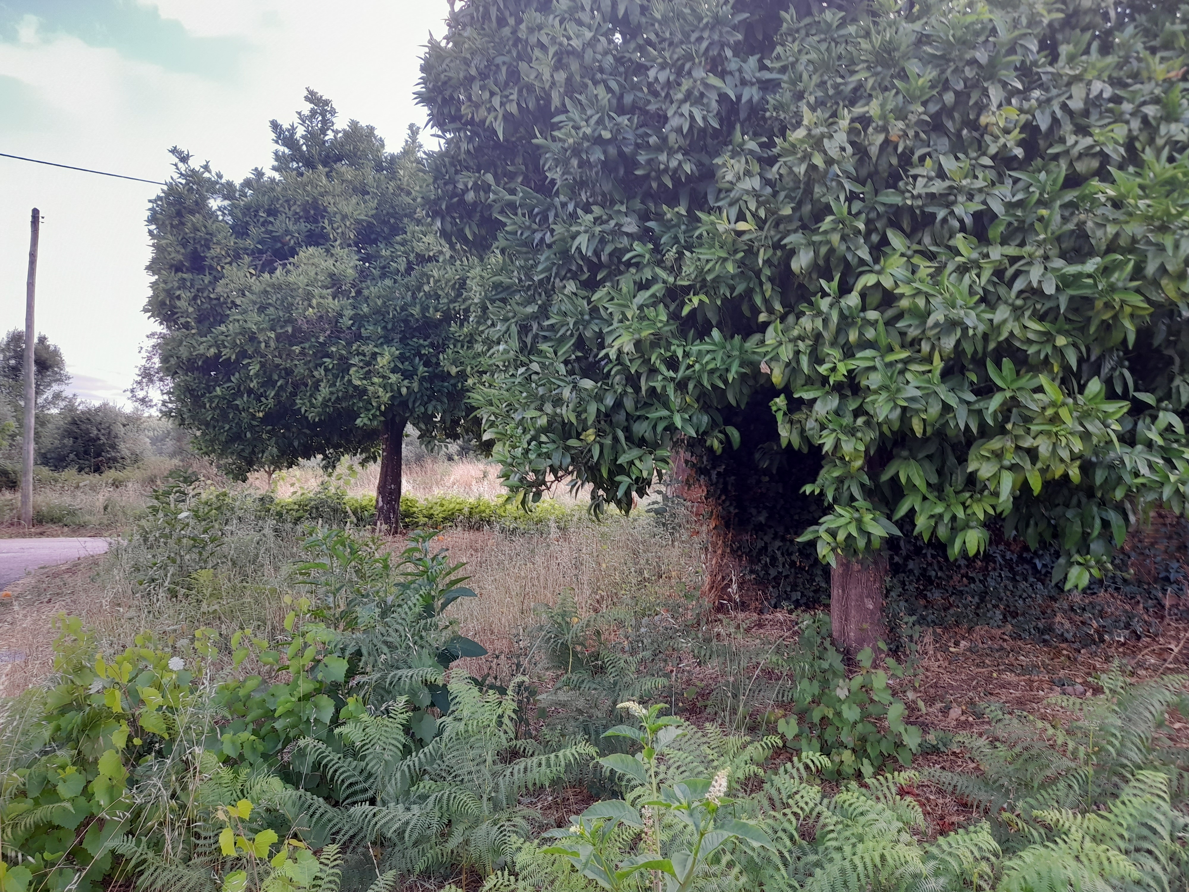 Fachada da moradia